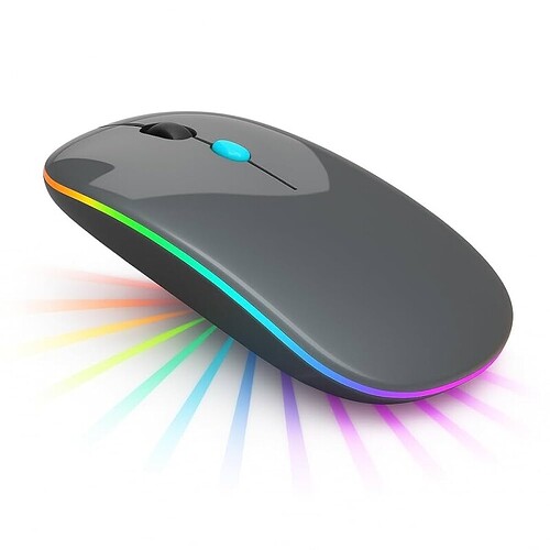 Mouse Sem Fio Recarregável Ergonômico RGB Silencioso Bluetooth 5.0 + USB DPI Ajustável Cinza Premium