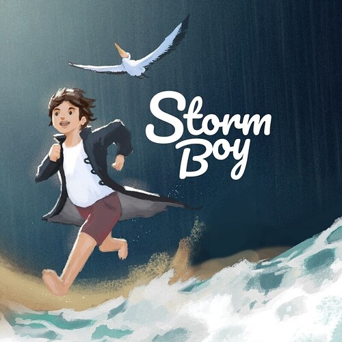 Jogo Storm Boy - PS4