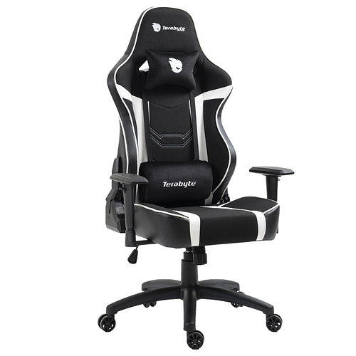 Cadeira Gamer Terabyte Vision Reclinável 2D Preto e Branco