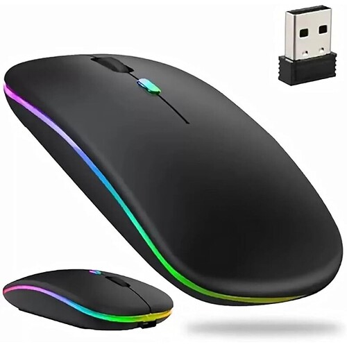 Mouse Sem Fio RGB Recarregável Wireless 2.4GHz Ergonômico com LED Colorido para Notebook e PC
