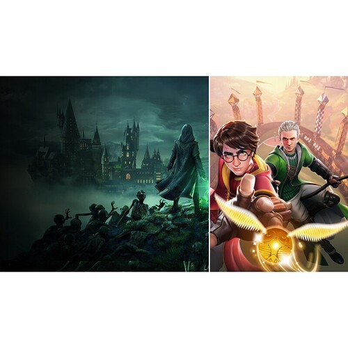 Jogo Pacote Edição Deluxe Hogwarts Legacy + Harry Potter: Campeões do Quadribol - PS4 - PS5 - Ultimate Wizarding Bund